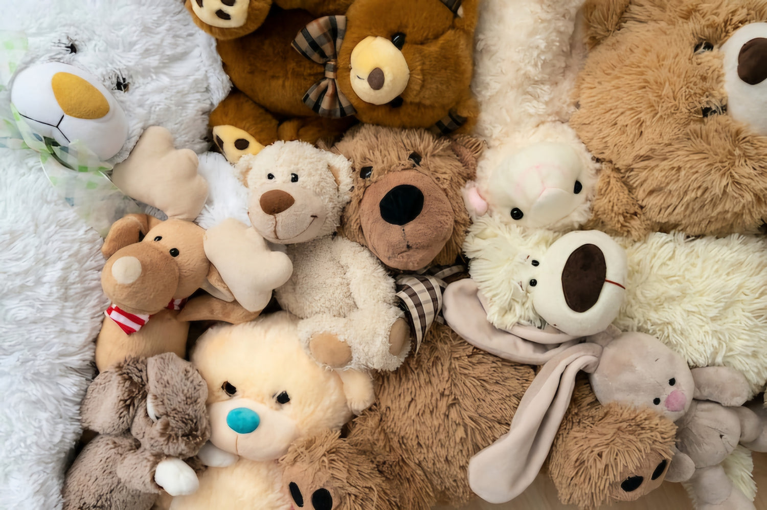 Stuffed Toys