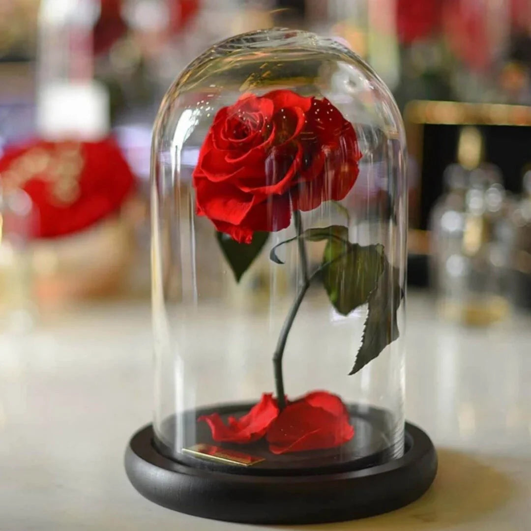 Eternal Flowers