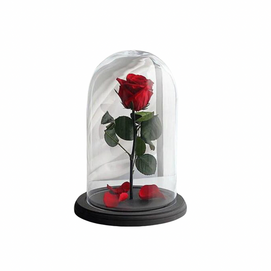 Eternal Rose